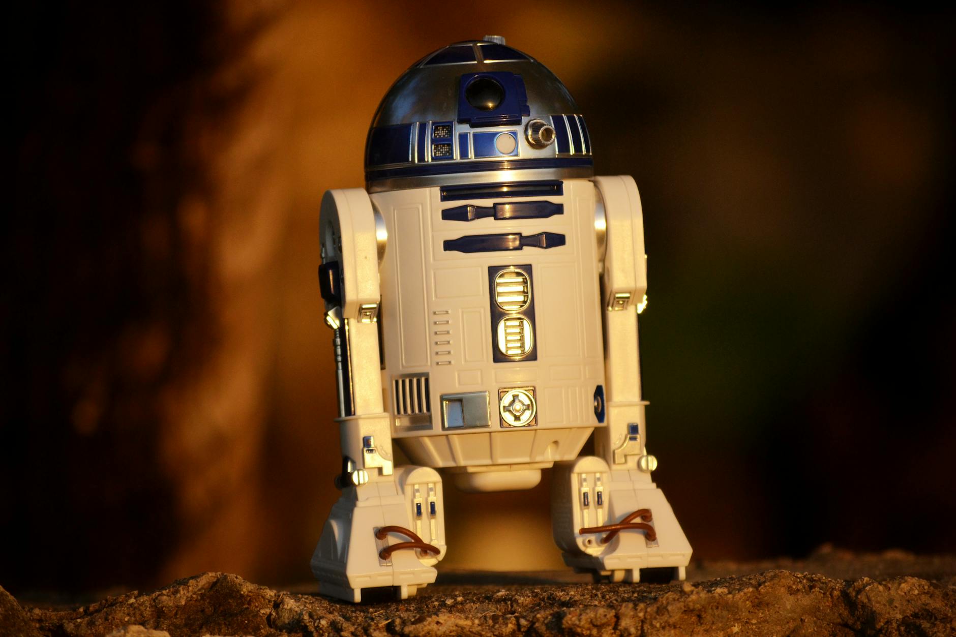 Building Smarter Systems with AI: A Primer for Developers