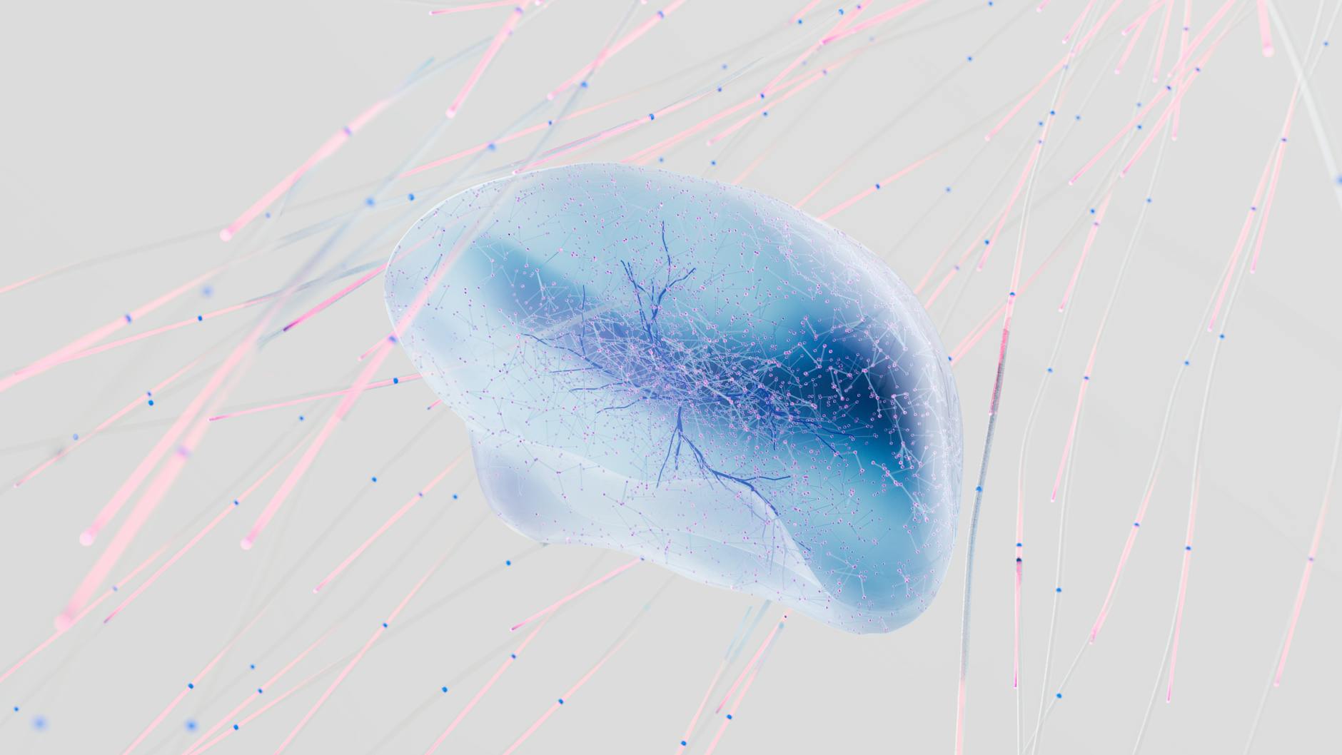 Navigating the AI Landscape: Understanding Neural Networks